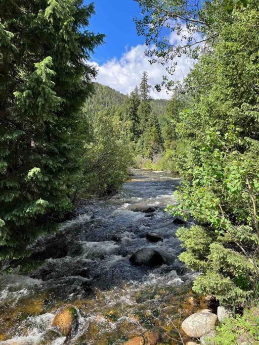 فيلا Classic Log Cabin Near Rocky Mountain National Park And Near Skiing ليونز المظهر الخارجي الصورة